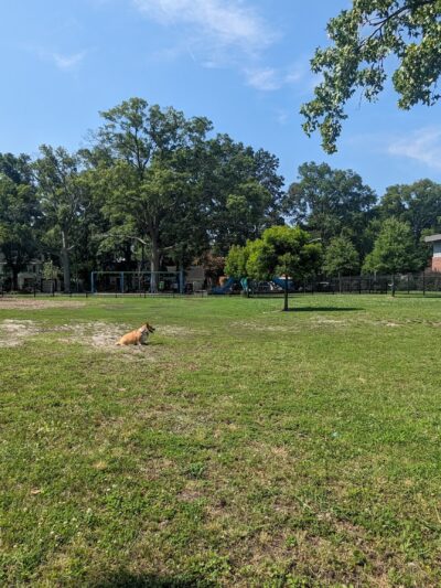 Meadowbrook Dog Park - Norfolk, VA