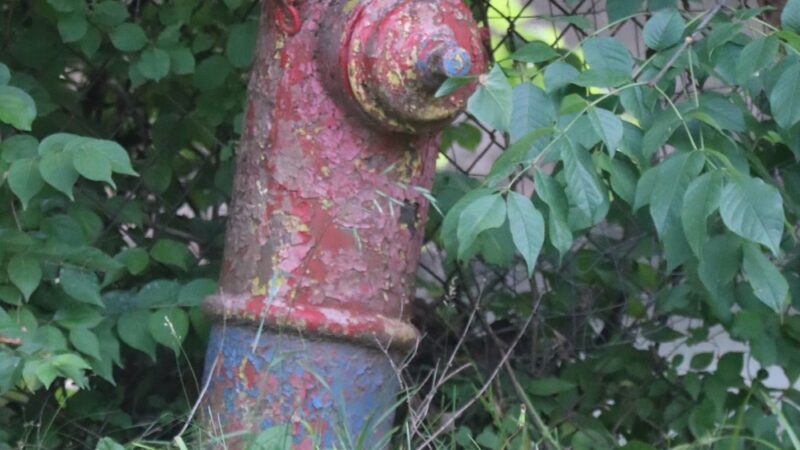 Crawford Park - Norristown, PA