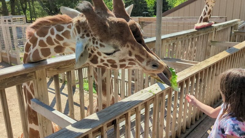 Elmwood Park Zoo - Norristown, PA