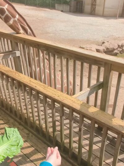 Elmwood Park Zoo - Norristown, PA