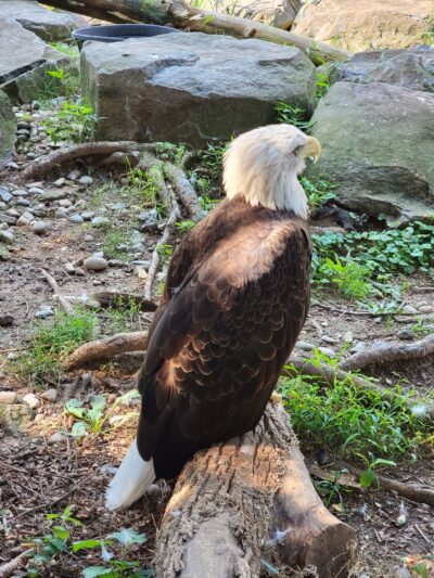 Elmwood Park Zoo - Norristown, PA