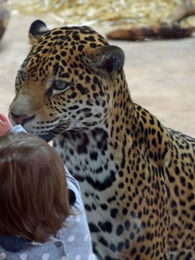 Elmwood Park Zoo - Norristown, PA