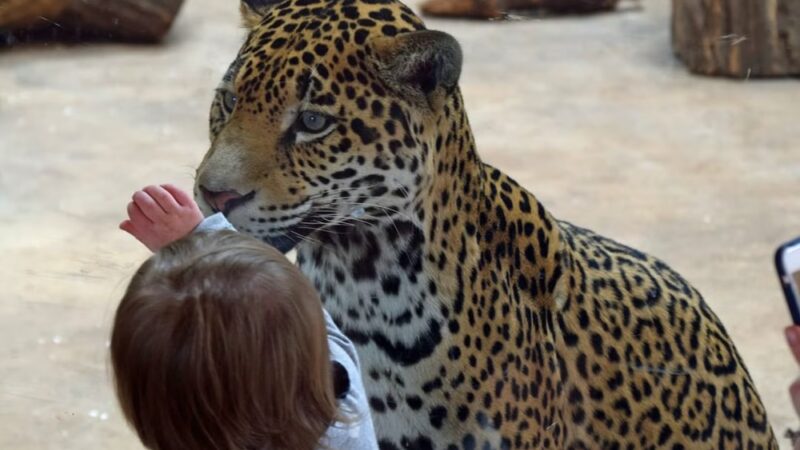 Elmwood Park Zoo - Norristown, PA
