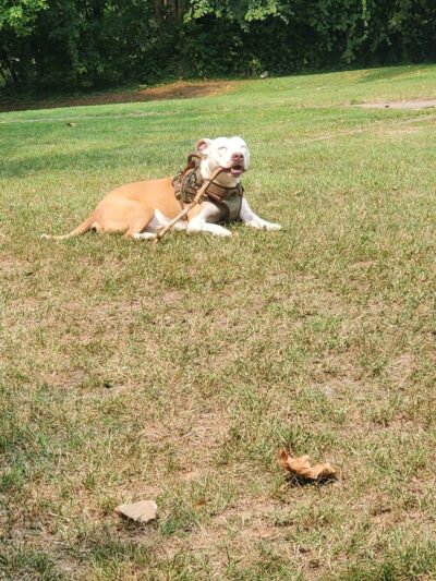 Gardino Park Norristown - Norristown, PA