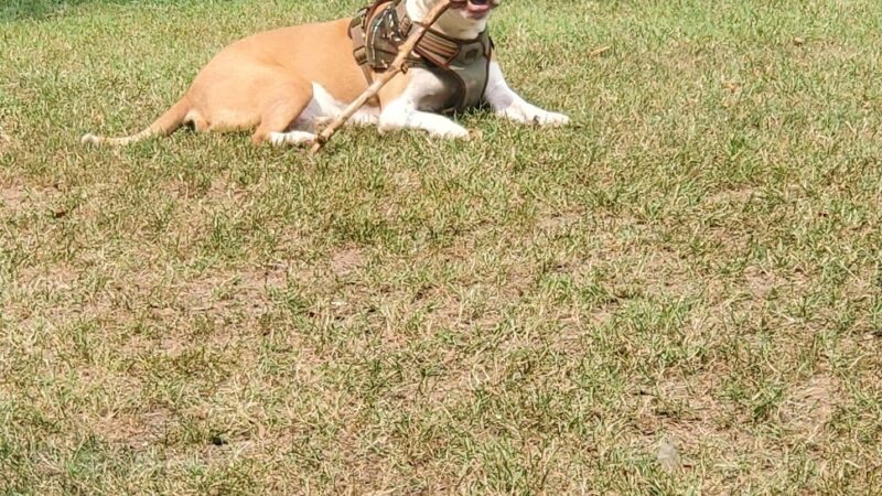 Gardino Park Norristown - Norristown, PA