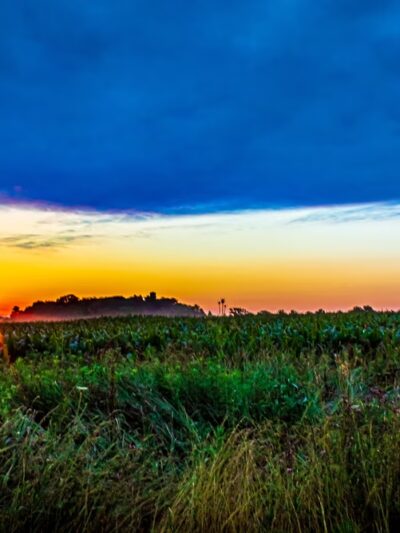 Norristown Farm Park, Lot # 4 - Norristown, PA