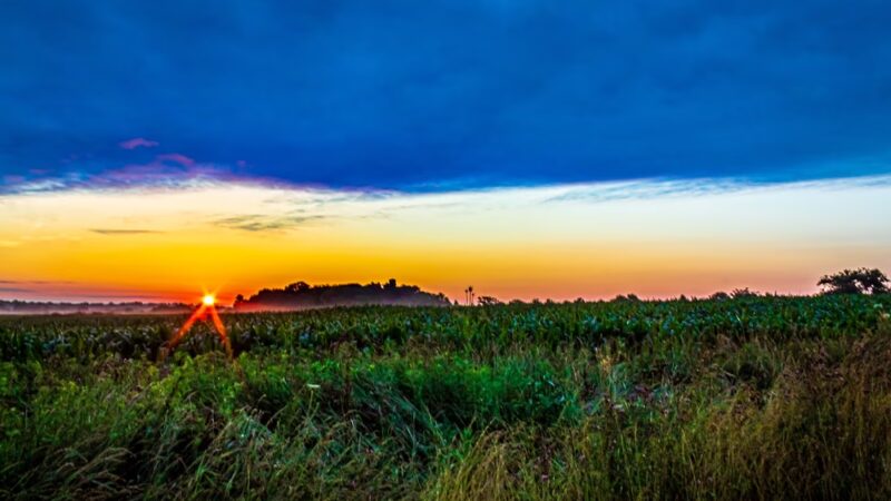 Norristown Farm Park, Lot # 4 - Norristown, PA