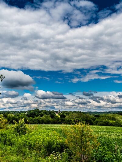 Norristown Farm Park, Lot # 4 - Norristown, PA