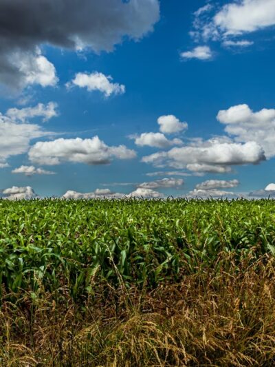 Norristown Farm Park, Lot # 4 - Norristown, PA