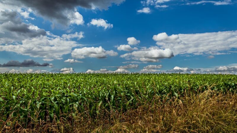 Norristown Farm Park, Lot # 4 - Norristown, PA