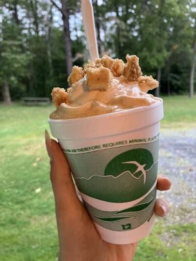 Lions Den - North Bend, PA