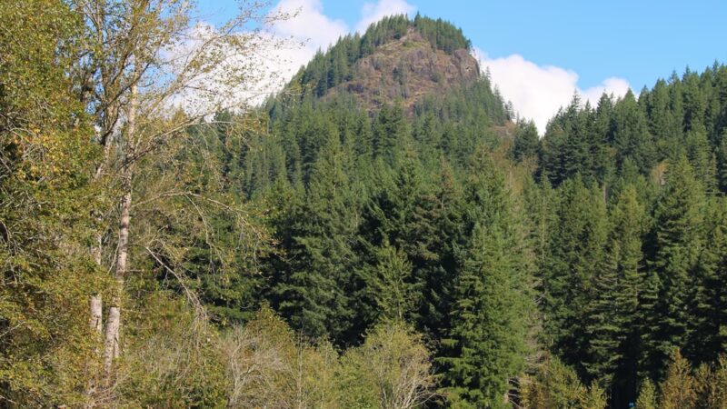 Tanner Landing Park - North Bend, WA