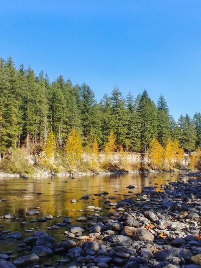 Tanner Landing Park - North Bend, WA