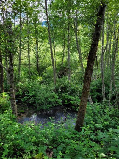 New Si View Park - North Bend, WA