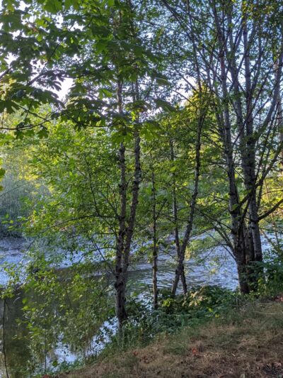 New Si View Park - North Bend, WA