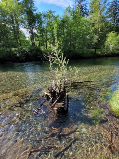 New Si View Park - North Bend, WA