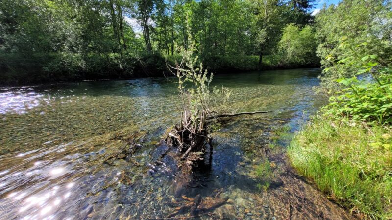 New Si View Park - North Bend, WA