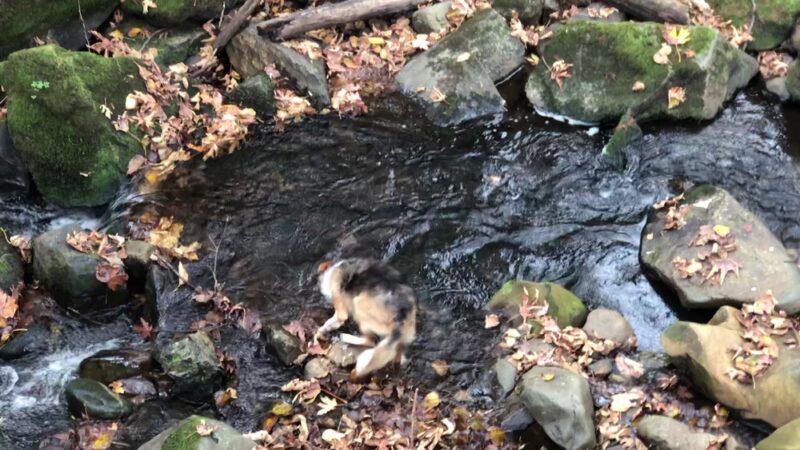 Riverbend Park - North Bend, WA