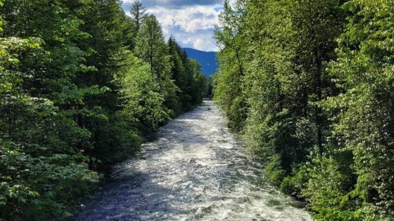 Snoqualmie Valley Rail Trail - North Bend, WA