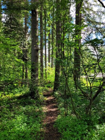 Snoqualmie Valley Rail Trail - North Bend, WA