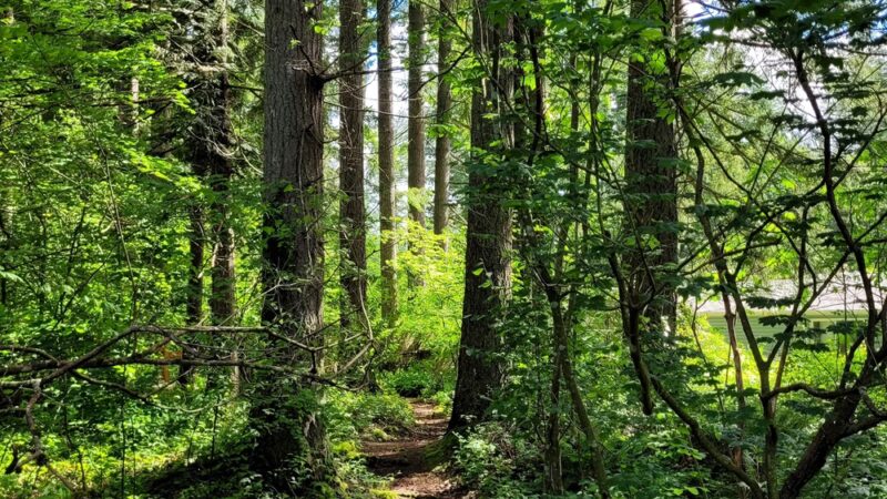 Snoqualmie Valley Rail Trail - North Bend, WA