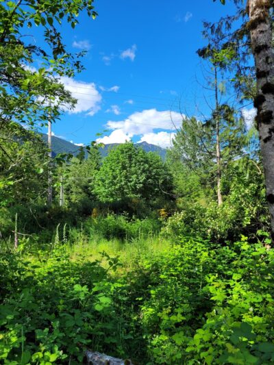 Snoqualmie Valley Rail Trail - North Bend, WA