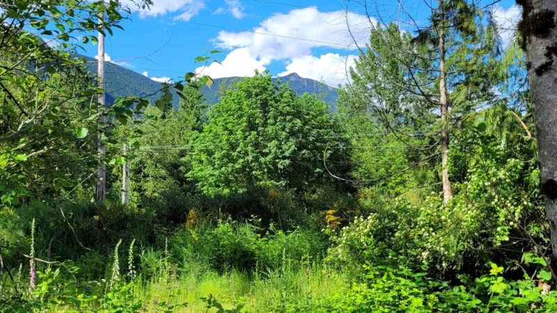 Snoqualmie Valley Rail Trail - North Bend, WA