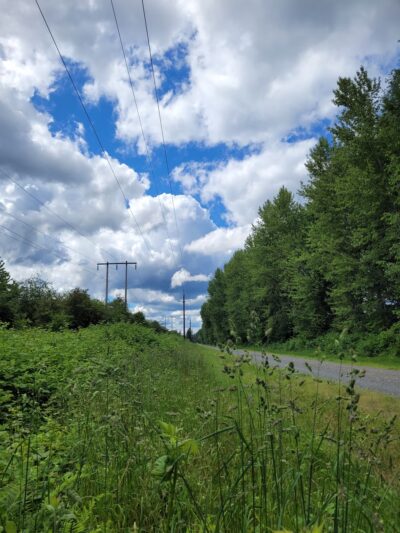 Snoqualmie Valley Rail Trail - North Bend, WA
