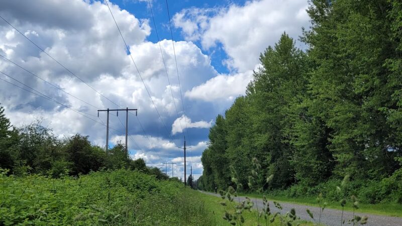 Snoqualmie Valley Rail Trail - North Bend, WA
