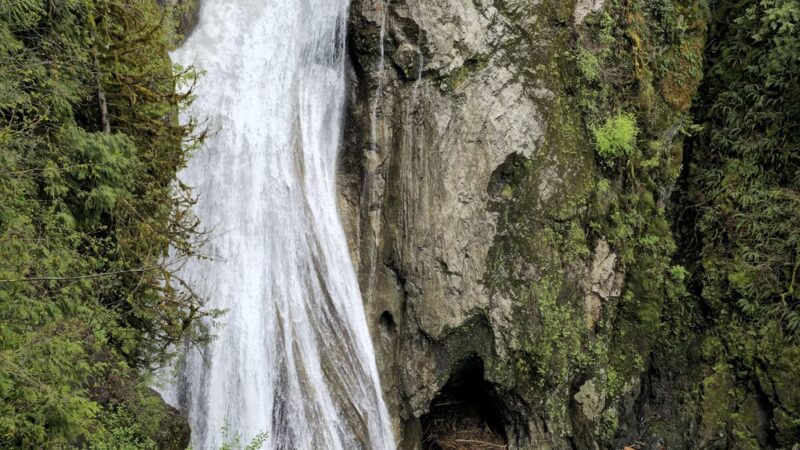 Twin Falls Natural Area - North Bend, WA