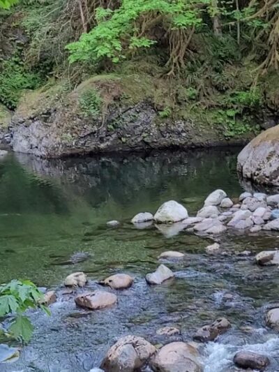 Twin Falls Natural Area - North Bend, WA