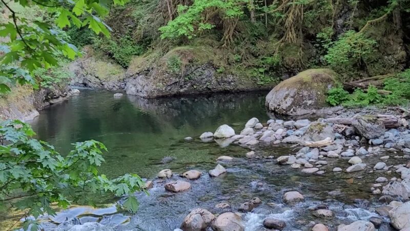 Twin Falls Natural Area - North Bend, WA