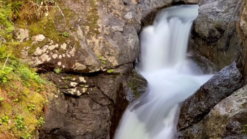 Twin Falls Natural Area - North Bend, WA