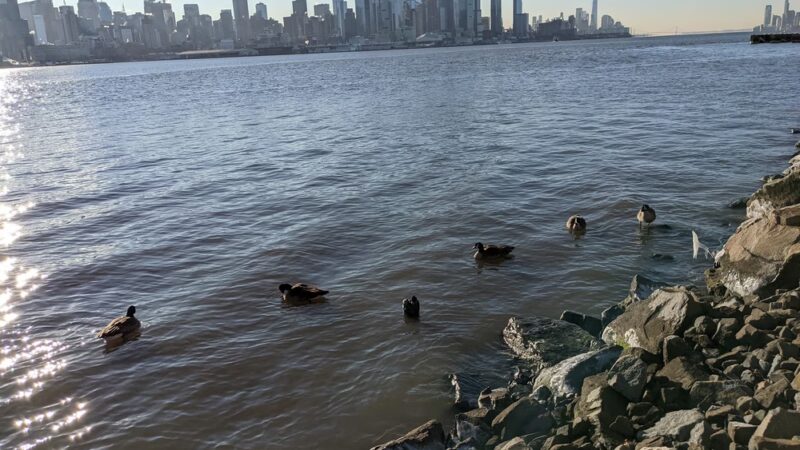 Guttenberg/North Bergen Waterfront Park - North Bergen, NJ