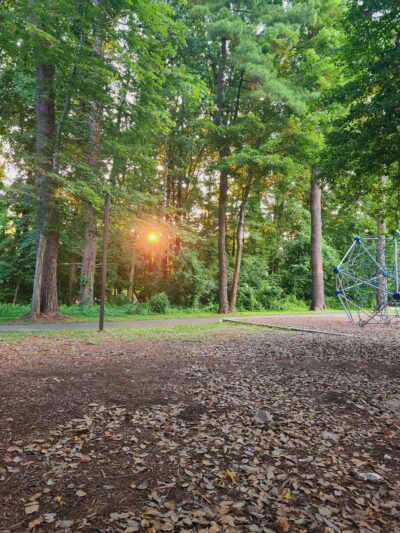 Wall Local Park - North Bethesda, MD