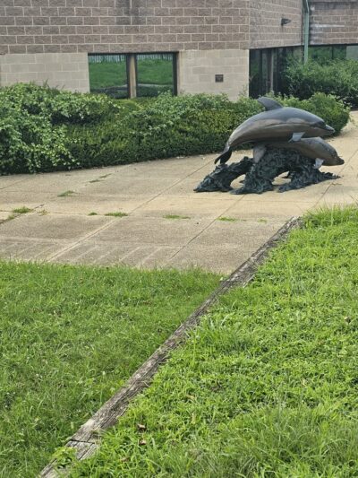 Wall Local Park - North Bethesda, MD