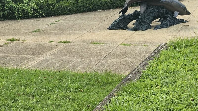 Wall Local Park - North Bethesda, MD