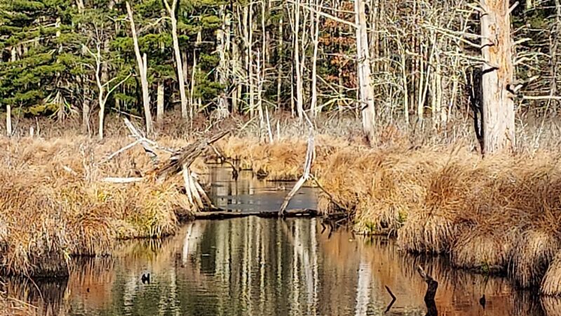 North Brookfield Rail Trail - North Brookfield, MA