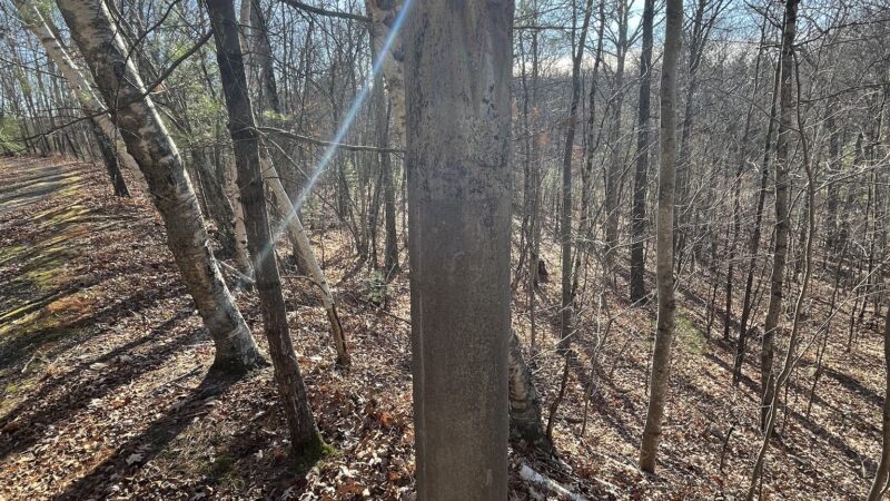 North Brookfield Rail Trail - North Brookfield, MA