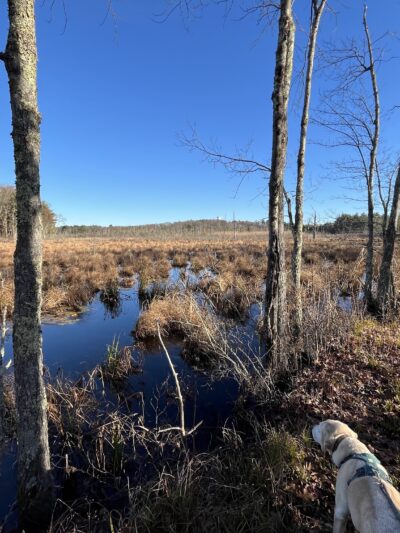 North Brookfield Rail Trail - North Brookfield, MA
