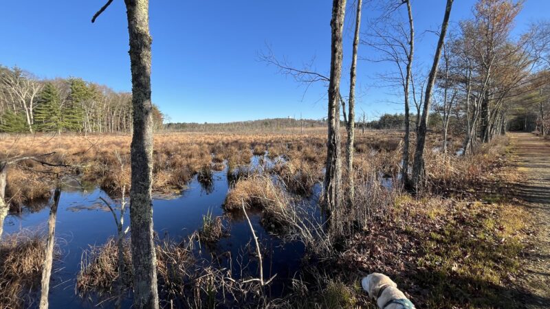 North Brookfield Rail Trail - North Brookfield, MA
