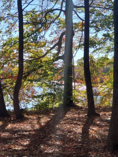 Farrington Lake Spillway - North Brunswick Township, NJ