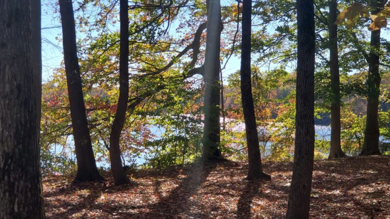 Farrington Lake Spillway - North Brunswick Township, NJ
