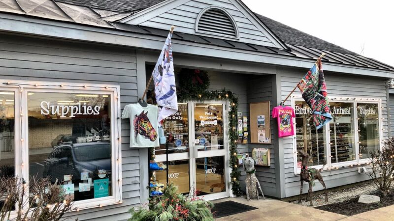 Four Your Paws Only - North Conway, NH