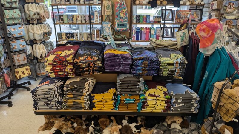 Four Your Paws Only - North Conway, NH