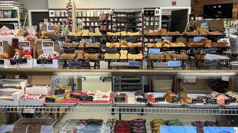 Four Your Paws Only - North Conway, NH