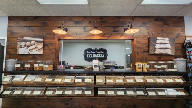 Four Your Paws Only - North Conway, NH