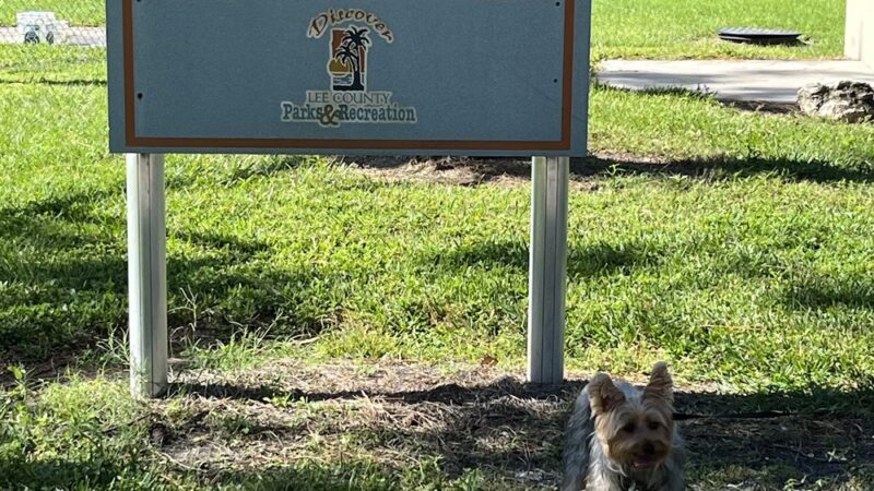 Judd Community Park - North Fort Myers, FL