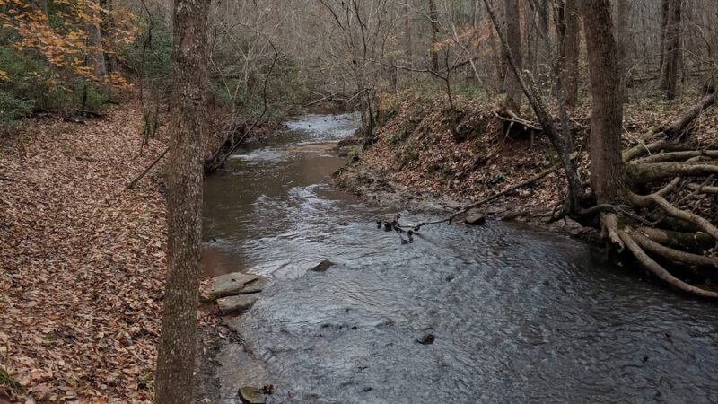 Walnut Creek Park - North Garden, VA