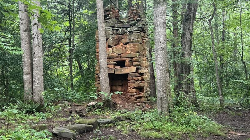 Walnut Creek Park - North Garden, VA